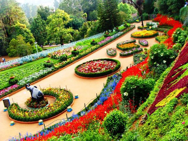 Chennai to Ooty